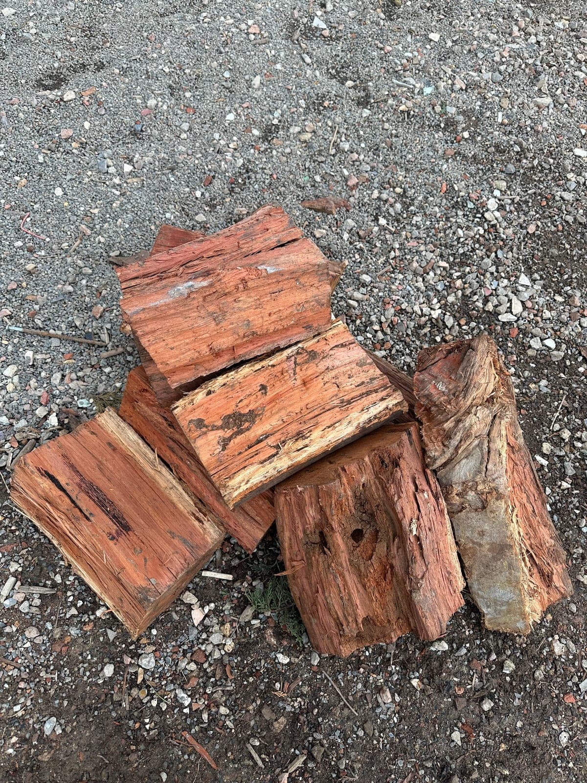 Single-split firewood — four chunky pieces side by side